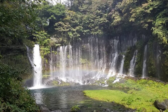 Mt. Fuji Area Tour From Shimizu Port / Medium Bus - Group Size and Accessibility