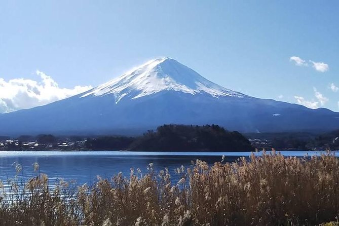 Mt. Fuji Day Tour by Private Minivan With Licensed Tour Guide and Driver - Pickup and Transportation Details