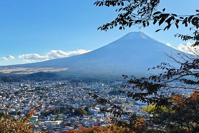 Mt. Fuji Guided Private Tour GREEN NUMBER PLATES - Inclusions and Amenities