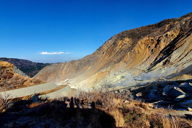 Mt. Fuji & Hakone Guided Private Tour GREEN NUMBER PLATES - Tour Customization