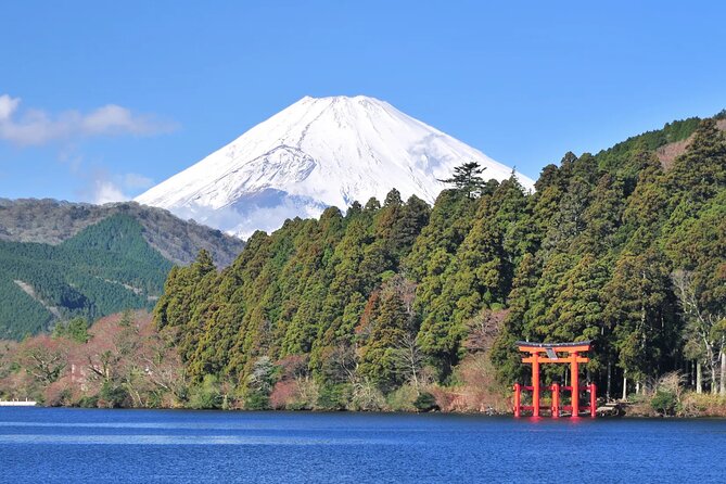 Mt. Fuji Hakone Ropeway and Oshino Hakkai Day Tour - Transportation and Accessibility