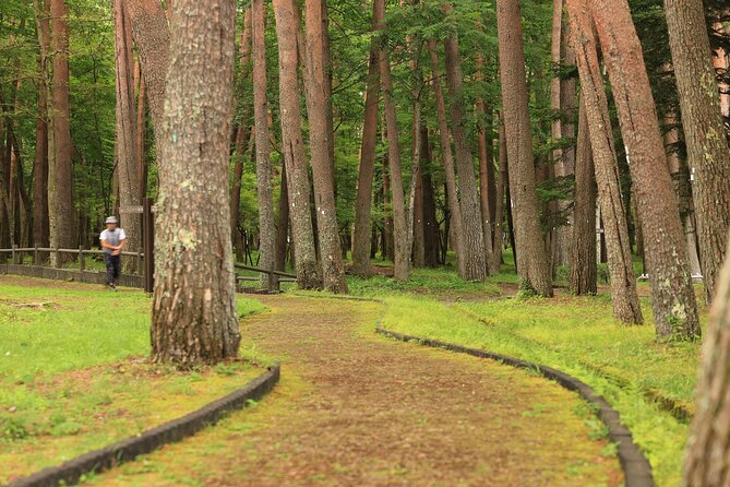 Mt. Fuji Luxury Getaway and Hakone Adventure by Private Car - Accessibility and Recommendations