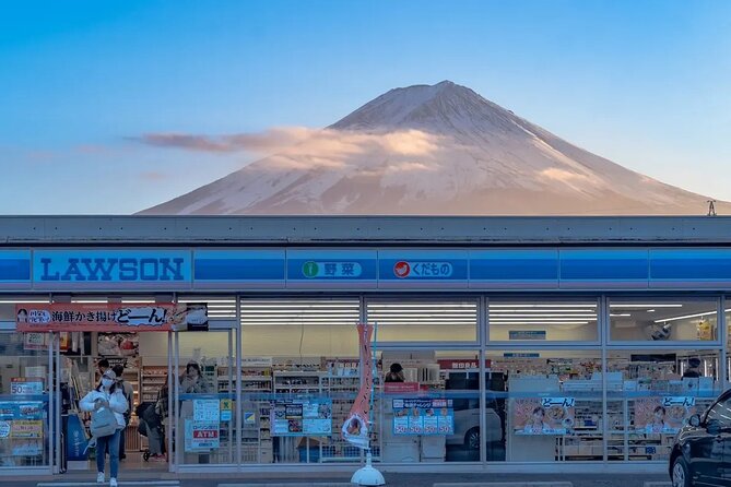 Mt Fuji Scenic Views and Lake Kawaguchi Floral Tour From Tokyo - Accessibility and Participation