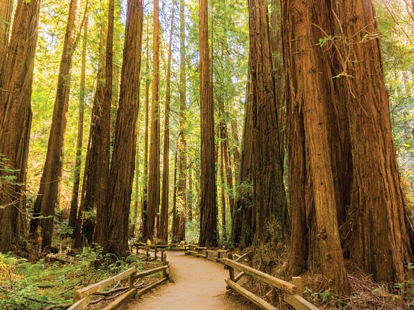 Muir Woods & Sausalito Tour - Common Issues and Feedback