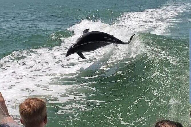 Myrtle Beach Dolphin Cruise - Customer Feedback