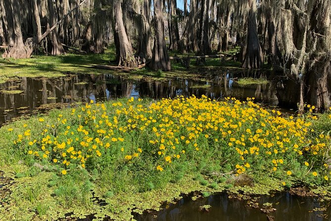 Mystical Private Kayak and Canoe Tours on Caddo Lake - Experience Highlights With Guide Leah