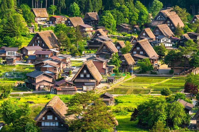 Nagoya Airport to Shirakawa City Japan Private Transfer - Accessibility and Participation