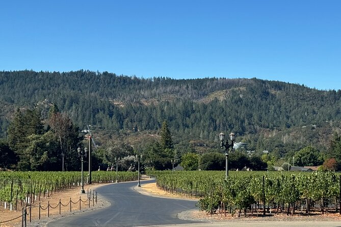 Napa Valley Luxury Wine Tours & Car Services - The Importance of Flexibility in Planning