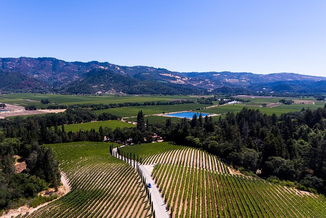 Napa Valleys Best Wine Tour W/ Local Expert - Food and Wine Pairings