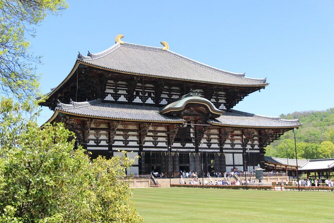 Nara Day Trip From Osaka With a Licensed Guide - Accessibility and Requirements