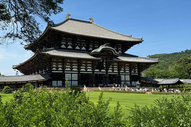 Nara: Half-Day Private Tour of 4 Must-See Spots & Deer Park - Participation Requirements