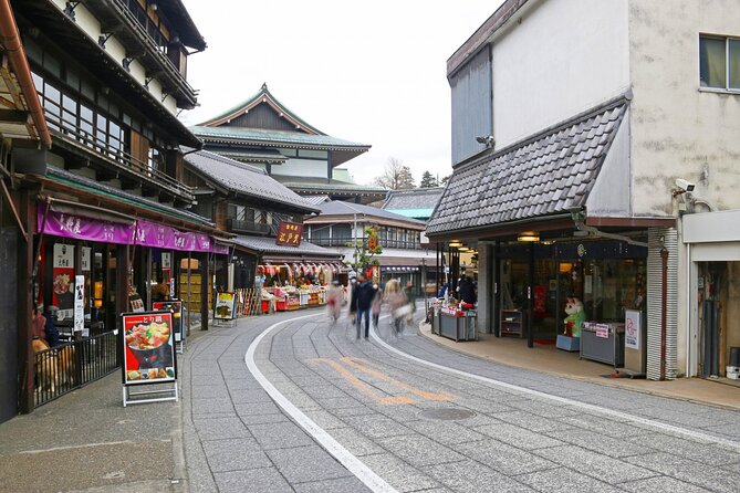 Narita Airport Layover Transit: Guided Private Tour - Participation Requirements