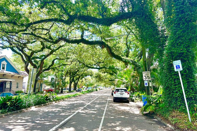 New Orleans Driving Tour of Bayou St. John, City Park, Treme Etc - Transportation and Pickup Details