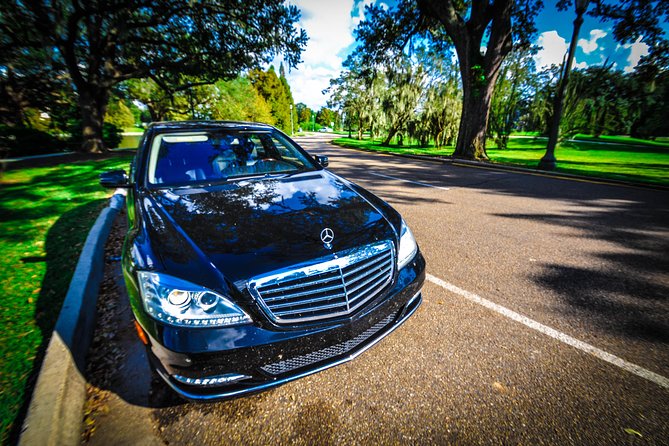 New Orleans Private Vehicle City Tour - Accessibility and Participation
