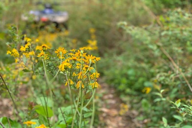 New River Gorge ATV Adventure Tour - Customer Testimonials