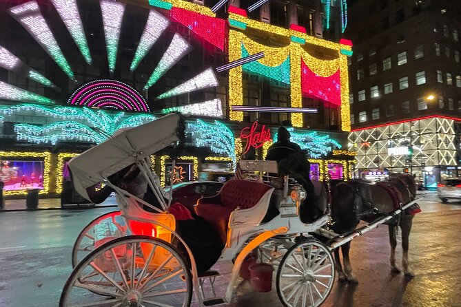 New York City Christmas Lights Private Horse Carriage Ride - Tour Inclusions and Capacity