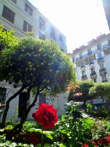 Nice Appart - Guest Reviews and Feedback