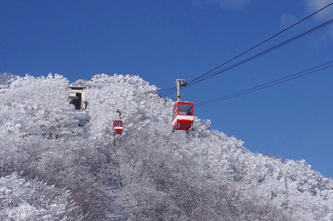 Nikko Full Day Customize Private Tour - Accessibility and Participation