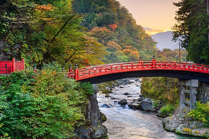 Nikko Toshogu Shrine Day Trip With English Professional Guide - Participation Requirements