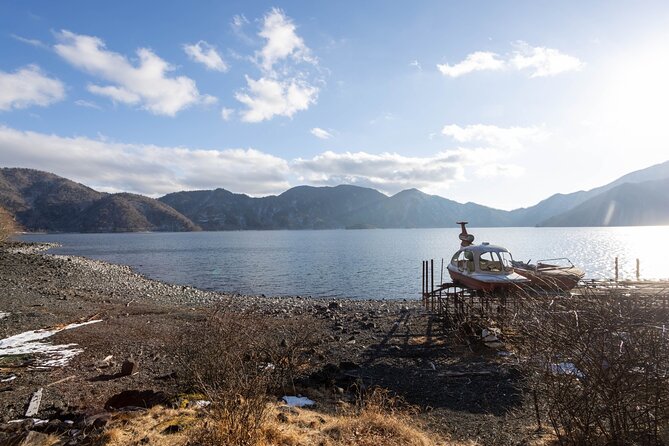 Nikko Tour From Tokyo With Licensed Guide via Private Car - Accessibility and Participation