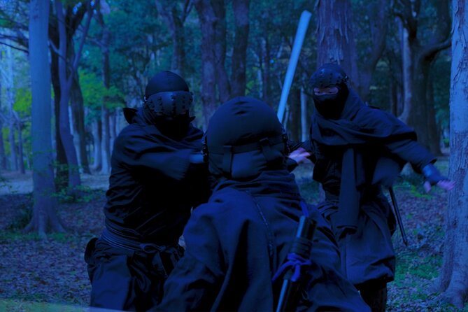Ninja Show in Osakas Namba - Accessibility Information