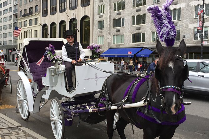 NYC Central Park Horse and Carriage Ride: Long Ride 45 Min - Meeting and Transportation Details