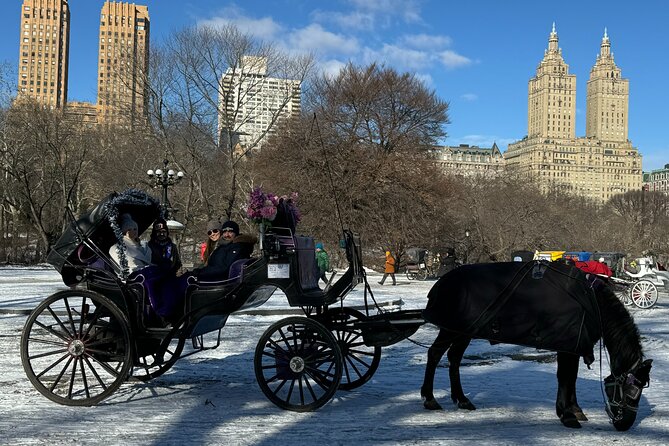 NYC Empire State Horses Carriage Ride in Central Park (45 Mins) - Meeting and End Points