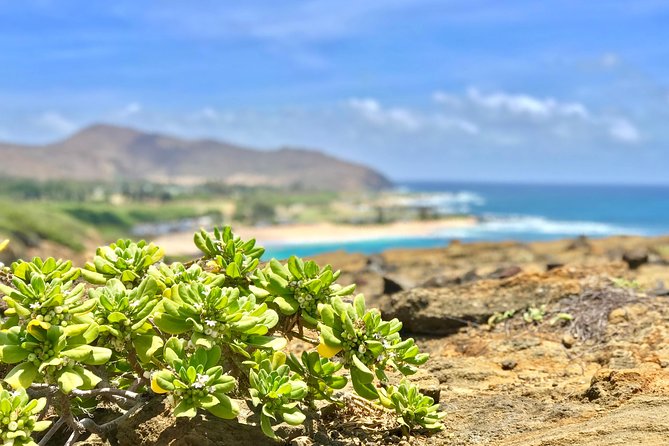 Oahu Custom Private Circle Island and Mini Circle Island Tours - Meeting and Pickup
