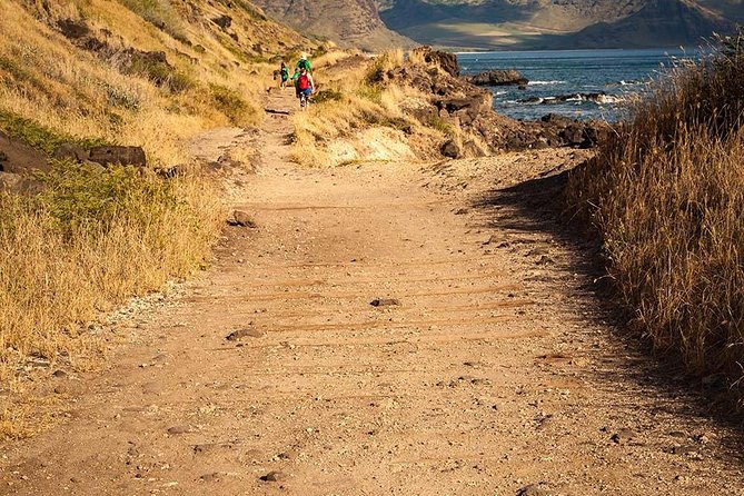 Oahu Personalized Private Tour - Guide Expertise and Traveler Feedback