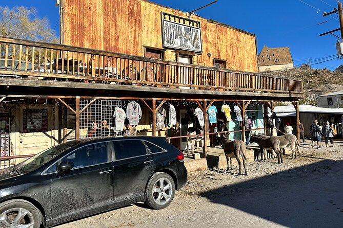 Oatman Mining Camp, Burros, Scenic RT 66 Direct From Las Vegas - Interacting With Roaming Burros
