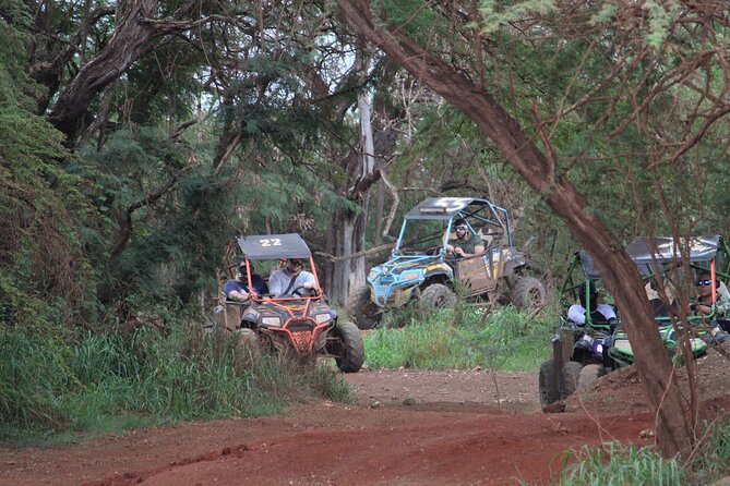 Off-Road Side-by-Side ATV & 3 Ziplines Adventure - Adventure Experience