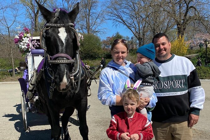 OFFICIAL NYC Central Park Horse Carriage Rides - Amenities and Accessibility