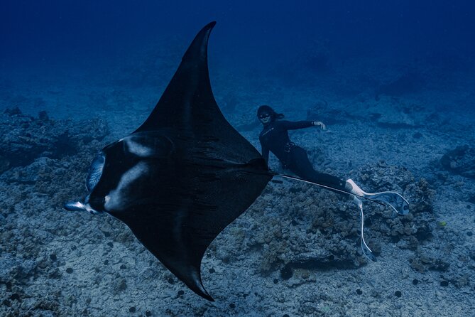 Offshore Safari Adventure in Kona With Underwater Photos - Meeting and Pickup Information