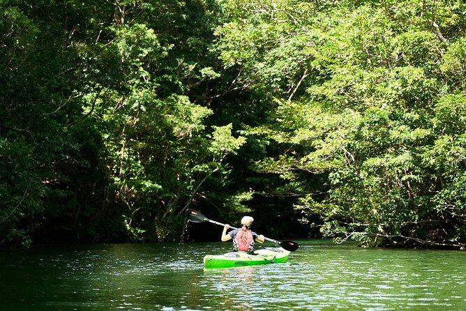 Okinawa Blue Zone 4 Days Discovery Adventure in UNESCO Site - Transportation and Accommodation