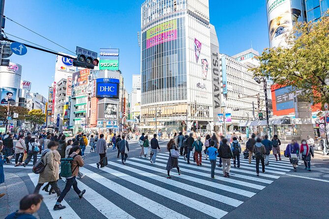 One Way Bus From Hirayu to Tokyo via Mt. Fuji 5th Station - Accessibility and Traveler Information
