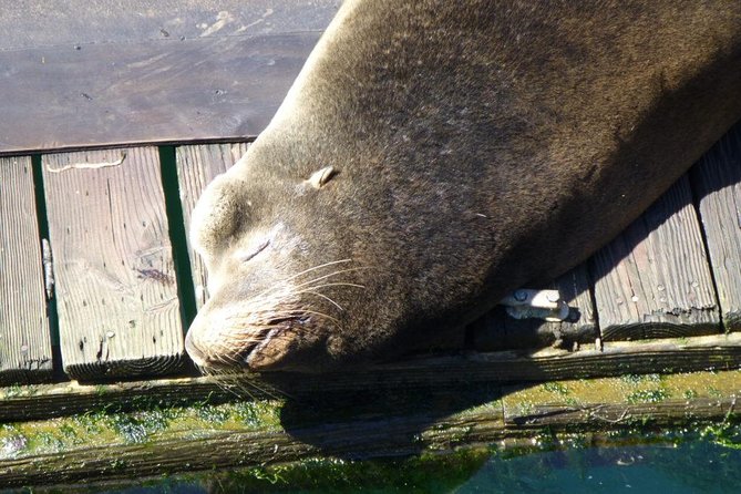 Oregon Coastal Tour: Florence to Yachats - Transportation Details