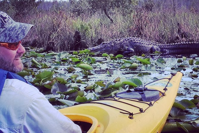 Orlando Alligator Experience - Observing Native Wildlife