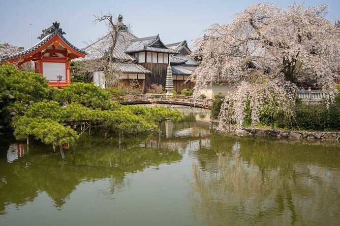 Osaka Kansai Airport to Okayama City Private Transfer - Accessibility and Participation