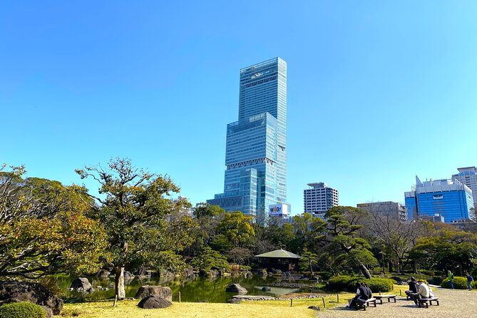 Osaka Private Custom Tour - Health and Accessibility