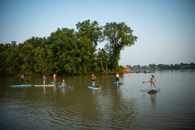 Paddle and Explore: Downtown Louisville River Tour - Participant Requirements