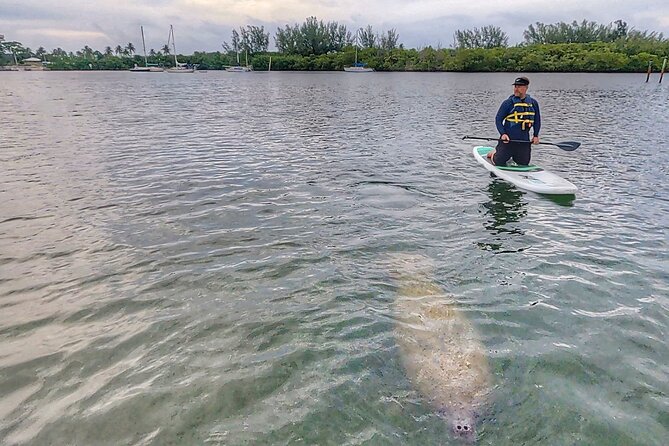 Paddle Boarding Eco Adventure Tour Jupiter Florida - Singer Island - Accessibility and Recommendations