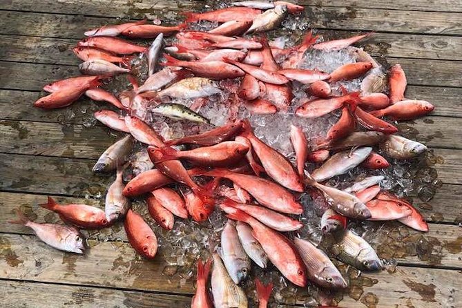 Party/Walk-On Fishing Trip - What to Expect on Board