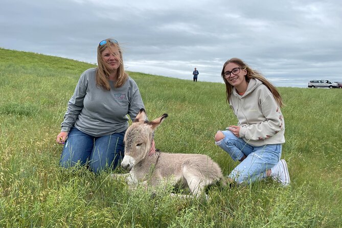 Personal Tour: Mount Rushmore, Custer State Park & Crazy Horse - Observing Local Wildlife