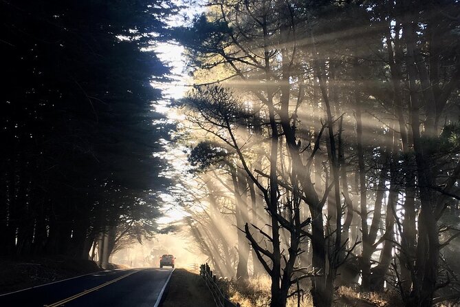 Picture Your Best SF Tour Ever! (Epic Bay Area Photo Adventures) - Flexible Meeting and Pickup Options