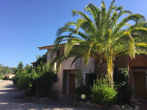 Playa DelOro Residence - Facilities and Activities for Guests