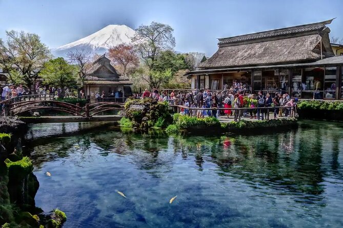 Private 1 Day Round Trip Tour From Tokyo to Mount Fuji - Accessibility and Health Considerations