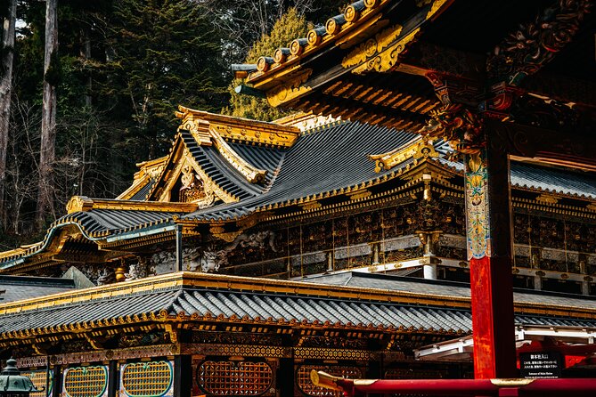 Private 1 Day Tour to Nikko: Onsen, UNESCO Shrines and Nature - Accessibility