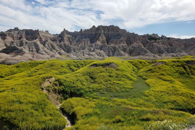 Private 5 Hour Badlands Tour With Local Experts - Health and Safety Measures