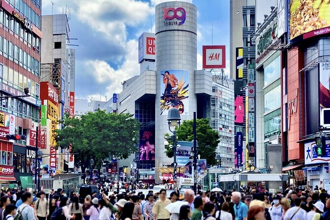 Private All Inclusive Neo Tokyo Tour on a Luxury Car - Accessibility and Participation