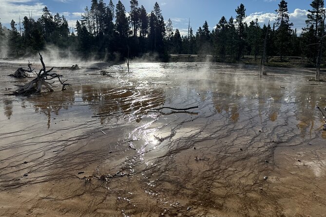 Private All-inclusive Yellowstone Lower Loop"The Volcano" Tours - Comfort and Convenience